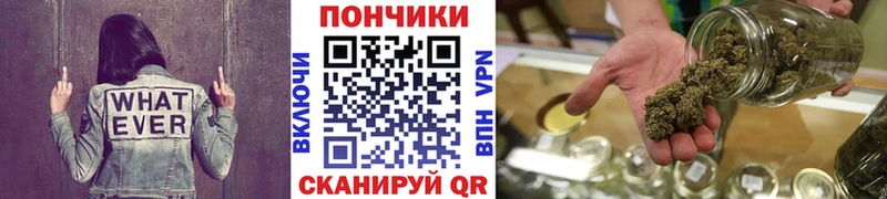 что такое   Онега  Конопля план 